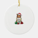 Search for rough collie christmas tree decorations Puppy