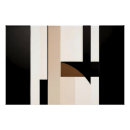 Search for silenced posters Abstract