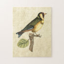 Search for animal puzzles Bird