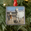 Search for desert christmas tree decorations Horse