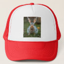 Search for russian hats Pet