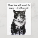 Search for black cat Animal lover