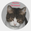 Search for funny cat picture stickers Humour