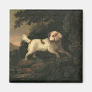 Search for edward magnets C19th