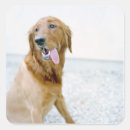 Search for bizarre stickers Horizontal