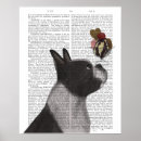 Search for boston terrier posters Cute boston terriers