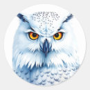 Search for owls eyes stickers Snowy owl