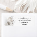 Search for white poodle dog return address labels Cute