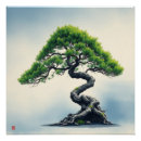 Search for bonsais posters Bonsai tree