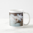 Search for pretty kitty mugs Cute