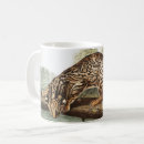 Search for ocelot mugs Wildlife