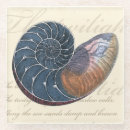 Search for seashell coasters Ocean