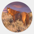 Search for bureau stickers Bureau of land management