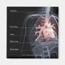 Search for human body organs Heart