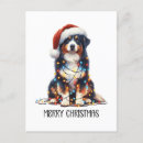 Search for aussie shepherd postcards Puppy