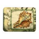Search for silhouettes magnets Nature