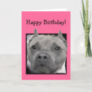 Search for pitbull birthday cards Animals