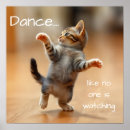 Search for inspirational cat posters Cute