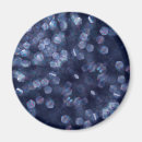 Search for bokeh magnets Glitter
