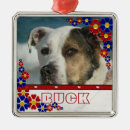Search for dog frame christmas tree decorations Keepsake