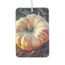 Search for pumpkin car air fresheners Autumn
