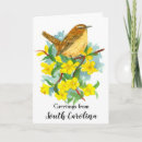 Search for wrens cards Carolina wren
