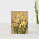 Search for spring bulb cards Daffodils