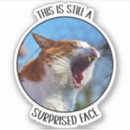 Search for meme face stickers Animal