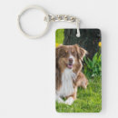 Search for cute animal key rings Modern