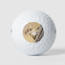 Search for squirrel golf balls Nature