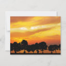 Search for silhouette postcards Sand