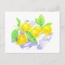 Search for towel postcards Yellow