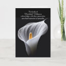 Search for peace lily flower cards White