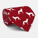 Search for saluki accessories Dog