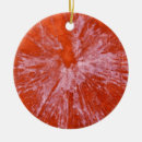 Search for paintball decor Splat