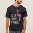 Search for flamingo birthday mens tshirts Fun