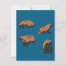 Search for cute bear postcards Zoo