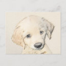 Search for golden retriever puppies postcards Portrait