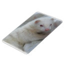 Search for albino magnets White