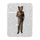 Search for bears magnets Animals