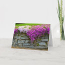 Search for drape cards Pink