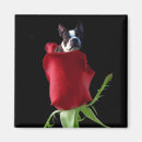 Search for romance love magnets I love you