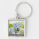 Search for kitten square key rings Puppy