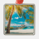 Search for tahiti christmas tree decorations Beach