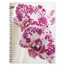 Search for variegated Tropical