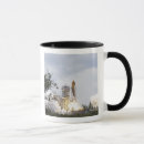 Search for blastoff mugs Cape canaveral