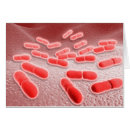 Search for microscopic Biomedical illustrations