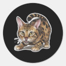 Search for bengal stickers Pet