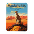 Search for cheetahs magnets Africa