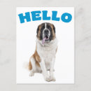Search for st bernard postcards Puppies
